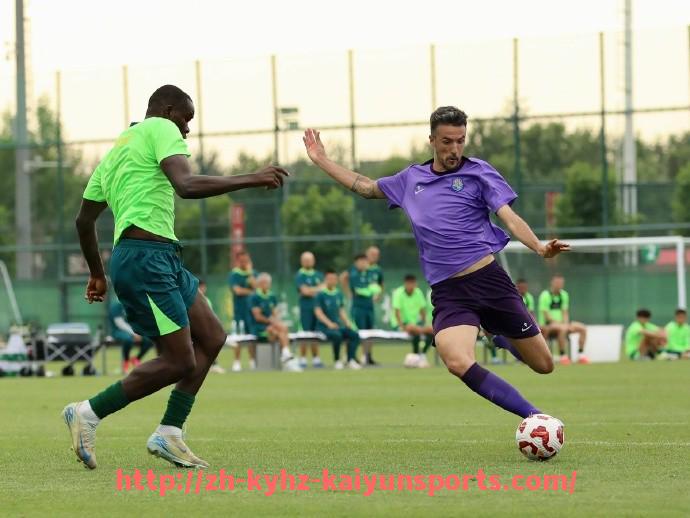 ky开云-德甲球队关系素材文案及球队文化介绍