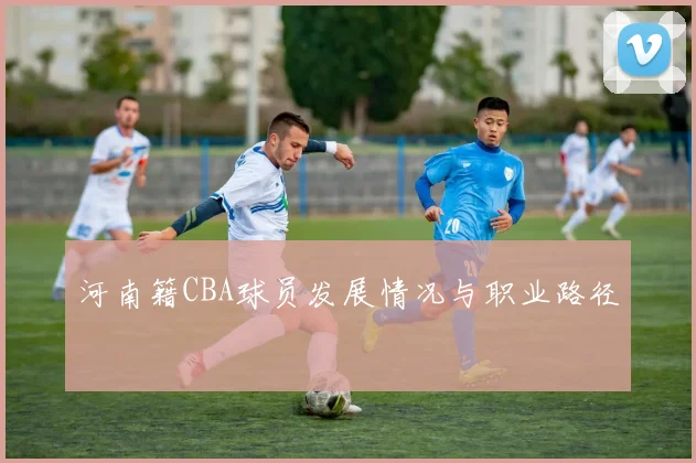 河南籍CBA球员发展情况与职业路径