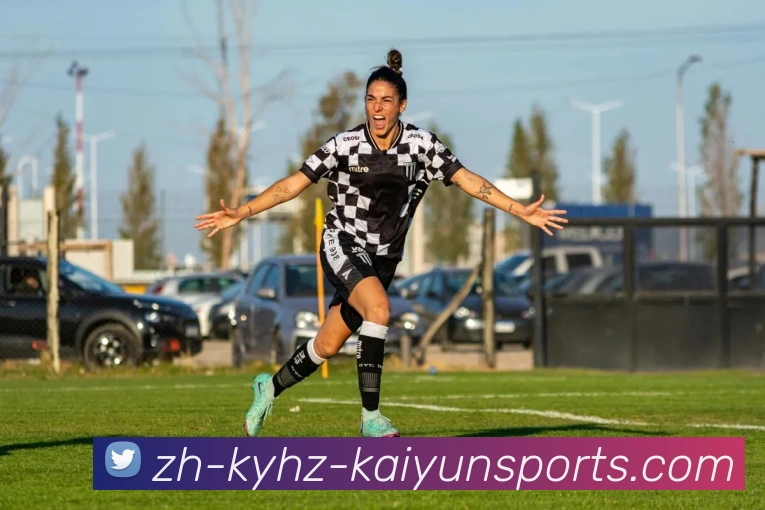 ky开云平台生态图